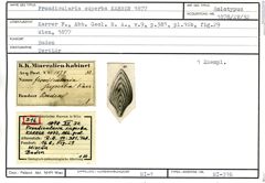 Karteikarte zum Holotyp von Frondicularia superba Karrer, 1877